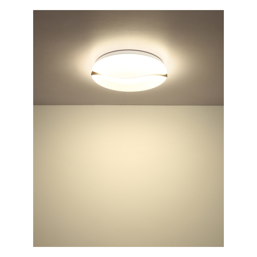 Globo - LED Stropna svetilka LED/24W/230V 3000/4200/6000K pr. 33 cm