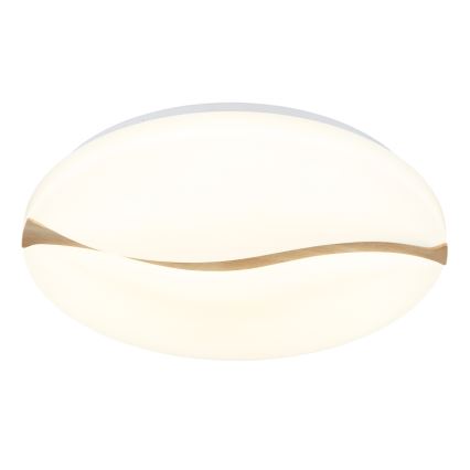 Globo - LED Stropna svetilka LED/24W/230V 3000/4200/6000K pr. 33 cm