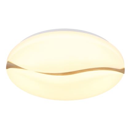 Globo - LED Stropna svetilka LED/24W/230V 3000/4200/6000K pr. 33 cm