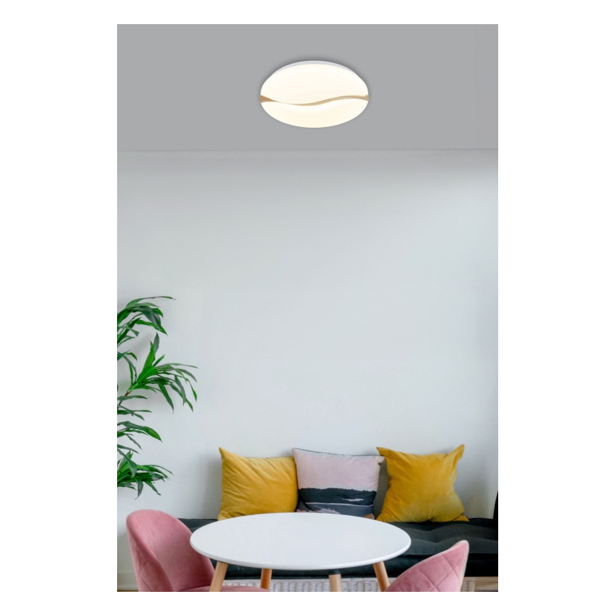 Globo - LED Stropna svetilka LED/24W/230V 3000/4200/6000K pr. 39 cm