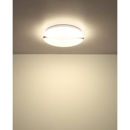 Globo - LED Stropna svetilka LED/24W/230V 3000/4200/6000K pr. 39 cm