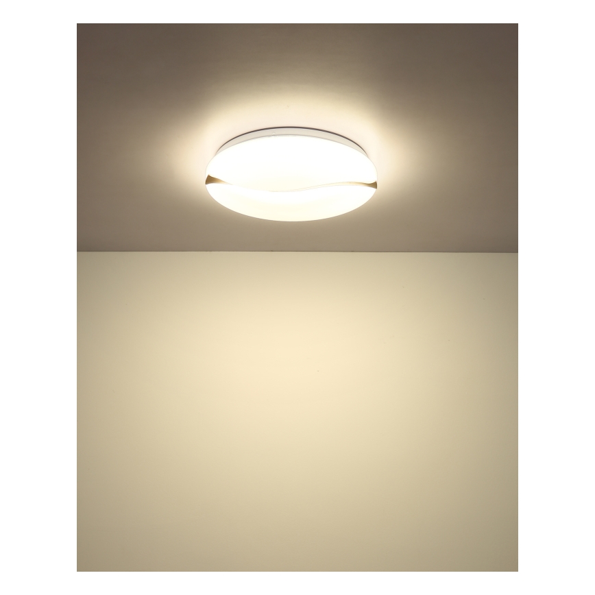 Globo - LED Stropna svetilka LED/24W/230V 3000/4200/6000K pr. 39 cm