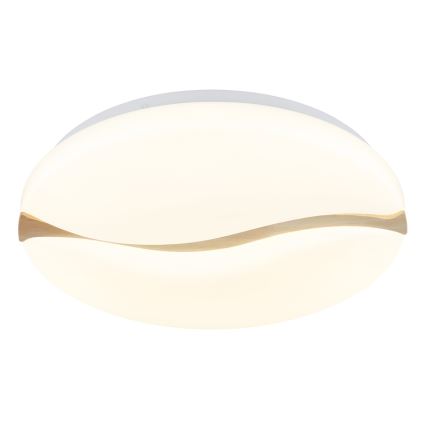 Globo - LED Stropna svetilka LED/24W/230V 3000/4200/6000K pr. 39 cm