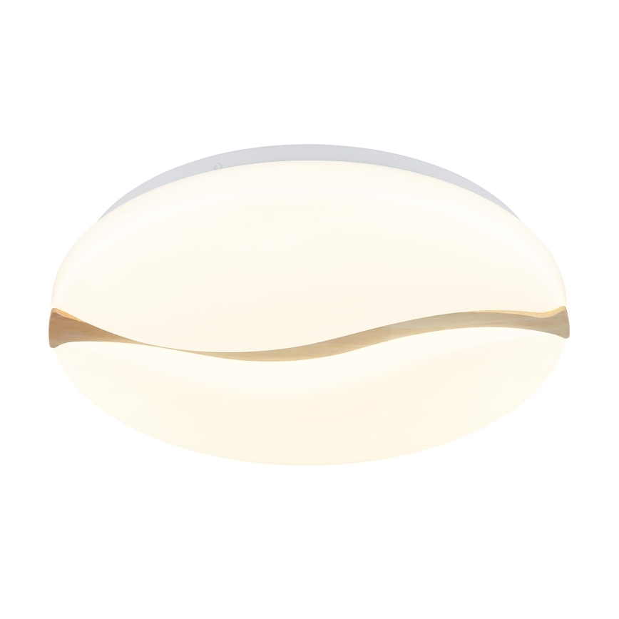 Globo - LED Stropna svetilka LED/24W/230V 3000/4200/6000K pr. 39 cm
