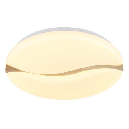 Globo - LED Stropna svetilka LED/24W/230V 3000/4200/6000K pr. 39 cm