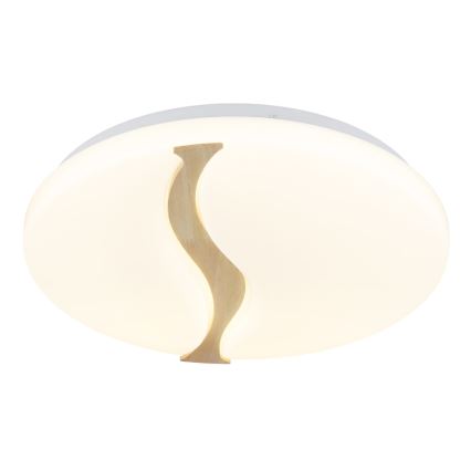 Globo - LED Stropna svetilka LED/24W/230V 3000/4200/6000K pr. 39 cm