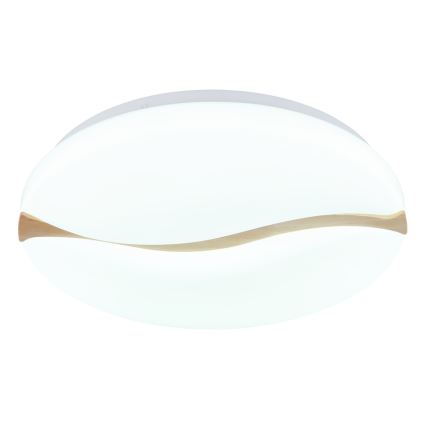 Globo - LED Stropna svetilka LED/24W/230V 3000/4200/6000K pr. 39 cm