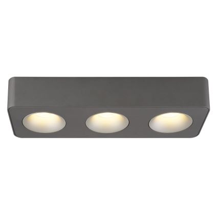 Globo - LED Stropna svetilka LED/14W/230V 11,7x33,2 cm