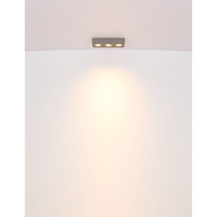 Globo - LED Stropna svetilka LED/14W/230V 11,7x33,2 cm