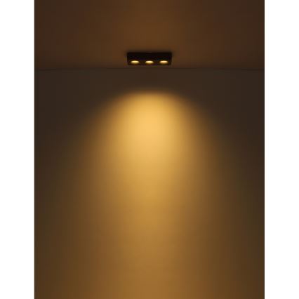 Globo - LED Stropna svetilka LED/14W/230V 11,7x33,2 cm