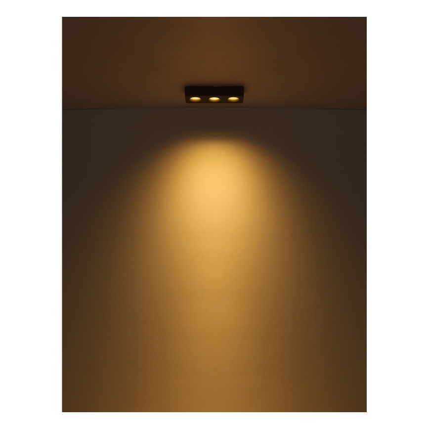 Globo - LED Stropna svetilka LED/14W/230V 11,7x33,2 cm