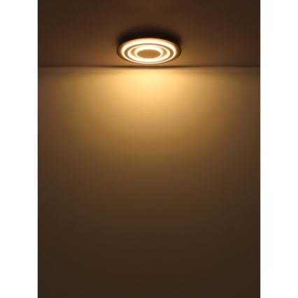 Globo - LED Stropna svetilka LED/24W/230V 3000K pr. 32 cm
