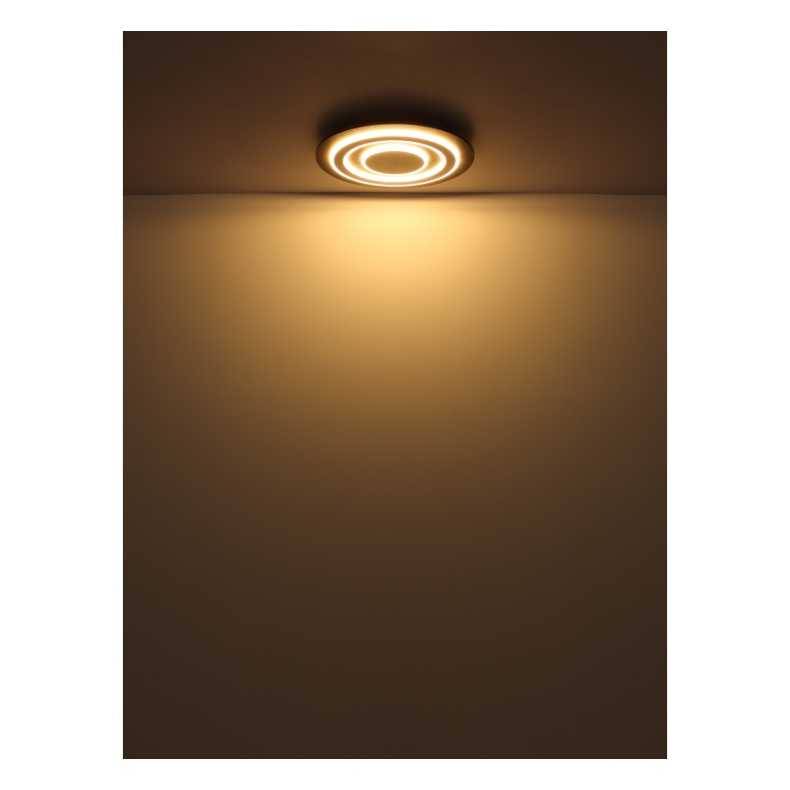 Globo - LED Stropna svetilka LED/24W/230V 3000K pr. 32 cm