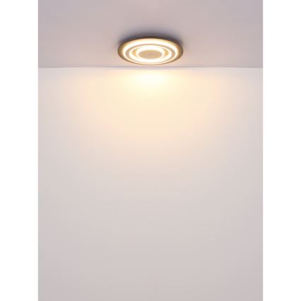 Globo - LED Stropna svetilka LED/24W/230V 3000K pr. 32 cm