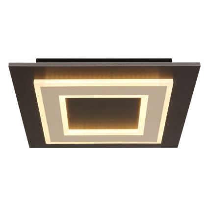 Globo - LED Stropna svetilka LED/24W/230V 3000K 32x32 cm