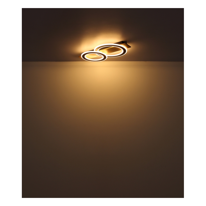 Globo - LED Stropna svetilka LED/40W/230V 3000K 35x63 cm