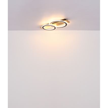 Globo - LED Stropna svetilka LED/40W/230V 3000K 35x63 cm