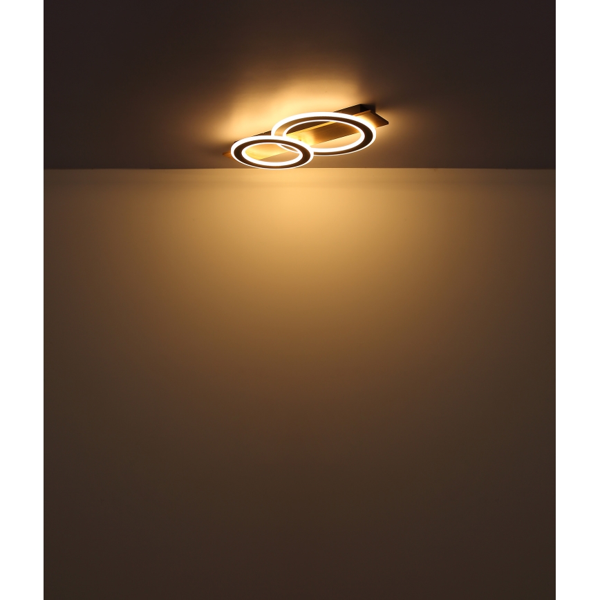 Globo - LED Stropna svetilka LED/40W/230V rjava