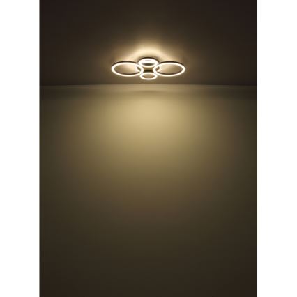 Globo - LED Stropna svetilka LED/30W/230V 2700/4500/6500K pr. 33x50 cm črna