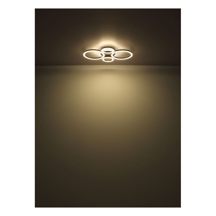 Globo - LED Stropna svetilka LED/30W/230V 2700/4500/6500K pr. 33x50 cm črna
