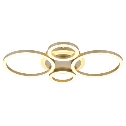 Globo - LED stropna svetilka, 40 W, 230 V, 2700/4500/6500 K, premer 35,5 × višina 53 cm, mesing