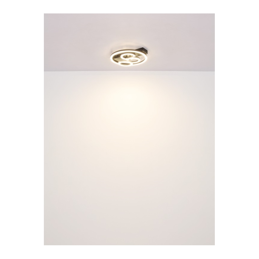 Globo - LED Zatemnitvena stropna svetilka LED/40W/230V 2700-6500K pr. 35x33 cm + Daljinski upravljalnik