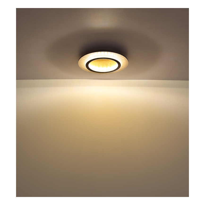 Globo - LED stropno svetilo LED/24W/230V 3000/4000/6500K, premer 35 cm, črno