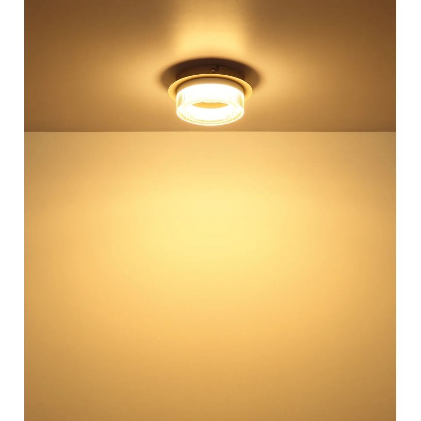 Globo - LED stropna svetilka LED/8W/230V 3000K premer 16 cm