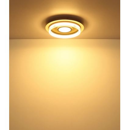 Globo - LED stropna svetilka LED/24W/230V 3000K, premer 40 cm