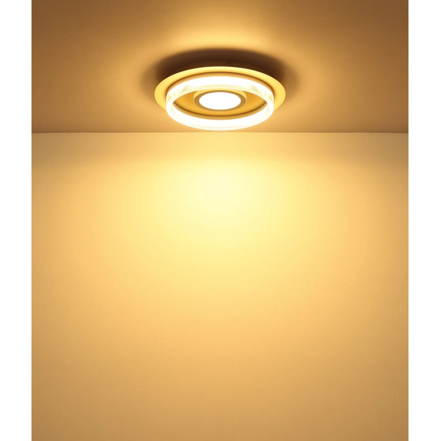 Globo - LED stropna svetilka LED/24W/230V 3000K, premer 40 cm