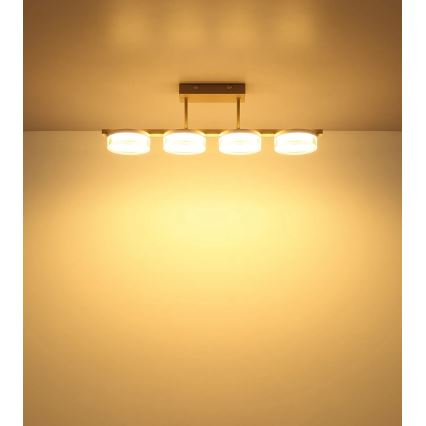 Globo - LED stropni lestenec za površinsko montažo LED/24W/230V 3000K