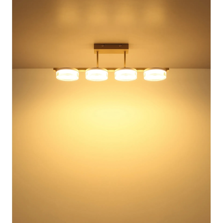 Globo - LED stropni lestenec za površinsko montažo LED/24W/230V 3000K