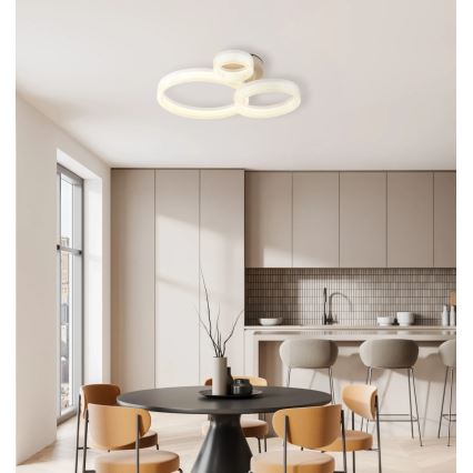 Globo - LED stropna svetilka LED/24W/230V 3000K 40,5x51 cm