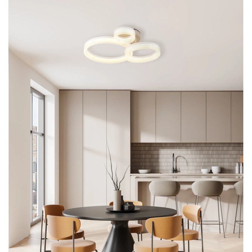 Globo - LED stropna svetilka LED/24W/230V 3000K 40,5x51 cm