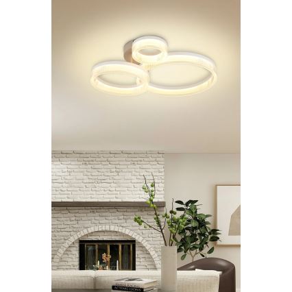 Globo - LED stropna svetilka LED/24W/230V 3000K 40,5x51 cm