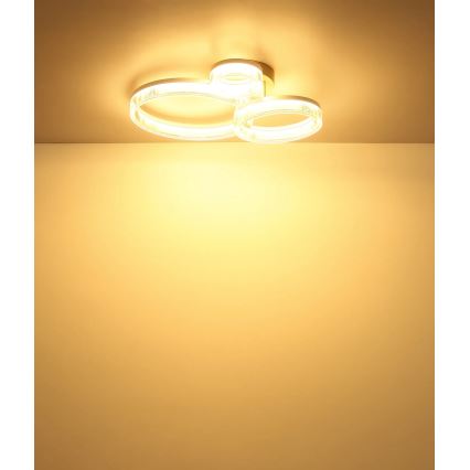 Globo - LED stropna svetilka LED/24W/230V 3000K 40,5x51 cm