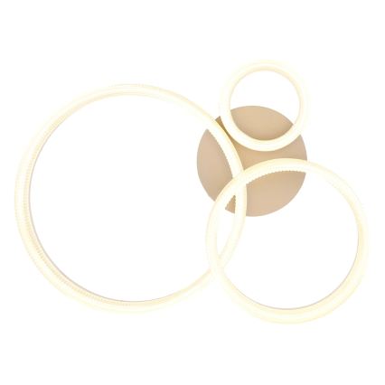 Globo - LED stropna svetilka LED/24W/230V 3000K 40,5x51 cm