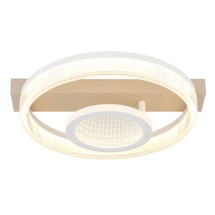 Globo - LED stropno svetilo LED/18W/230V 3000K 33x36 cm