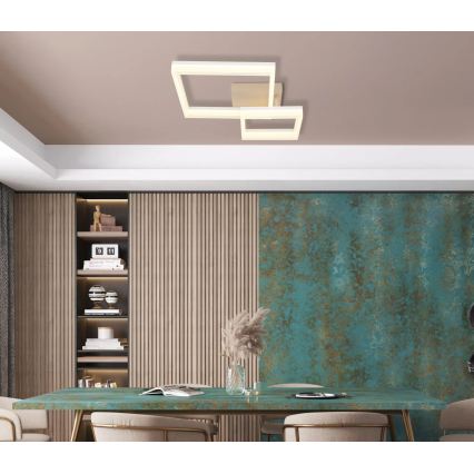 Globo - LED stropna svetilka LED/24W/230V 3000K 46,5x62,5 cm