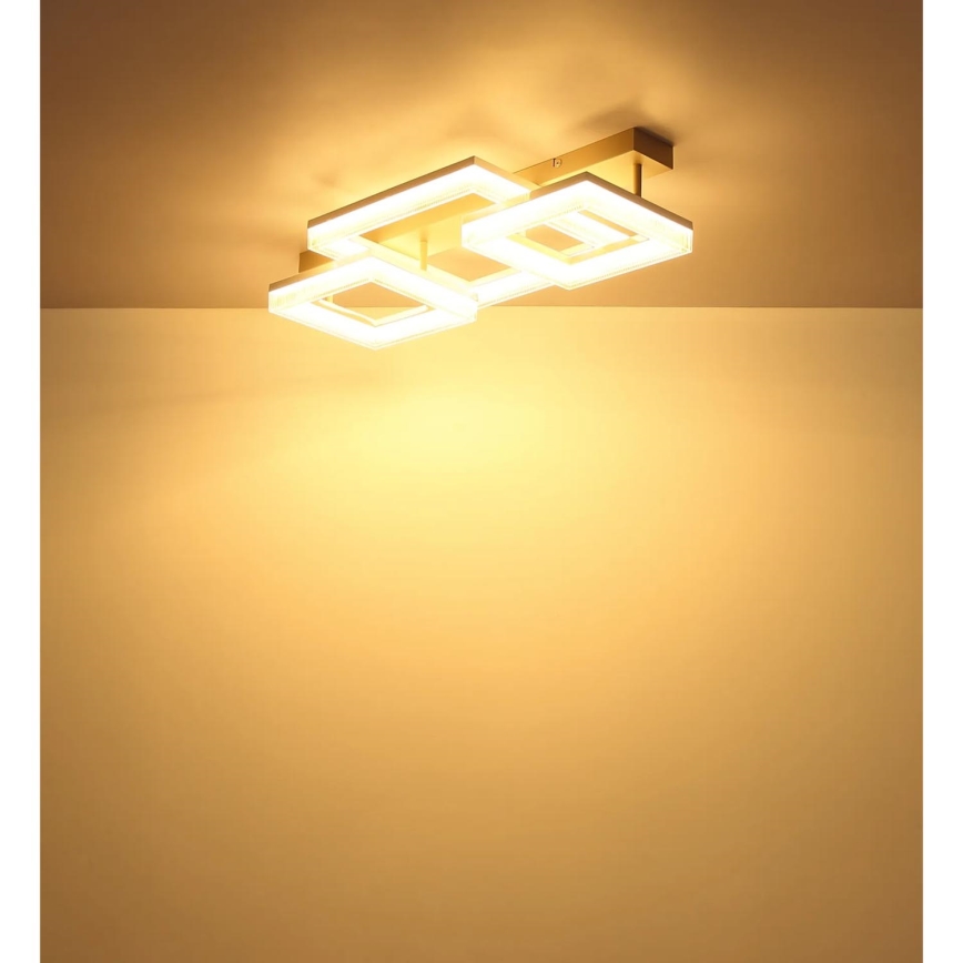 Globo - LED stropna svetilka LED/40W/230V 3000K 33x66 cm