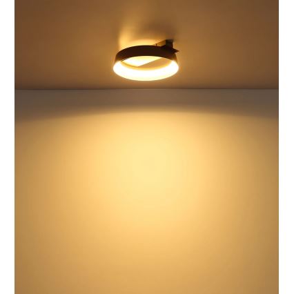 Globo - LED stropno svetilo LED/12W/230V 3000K 26x25 cm