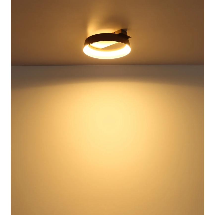 Globo - LED stropno svetilo LED/12W/230V 3000K 26x25 cm