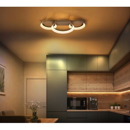 Globo - LED stropno svetilo LED/40W/230V 3000K 70x35 cm