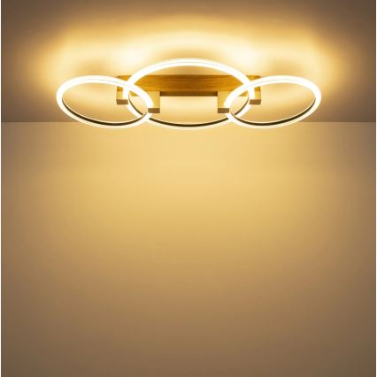Globo - LED stropna svetilka LED/40W/230V 3000K 76,1x38 cm rjava