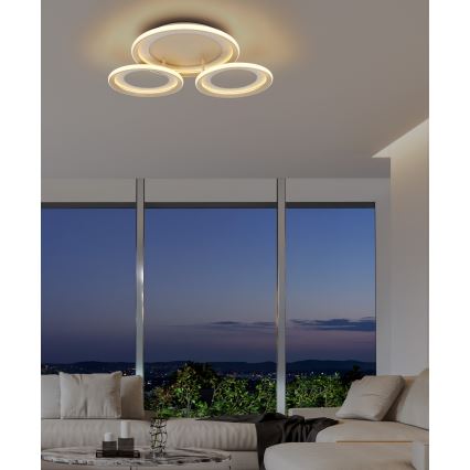 Globo - LED stropna svetilka LED/40W/230V 3000K 60,5x62,5 cm