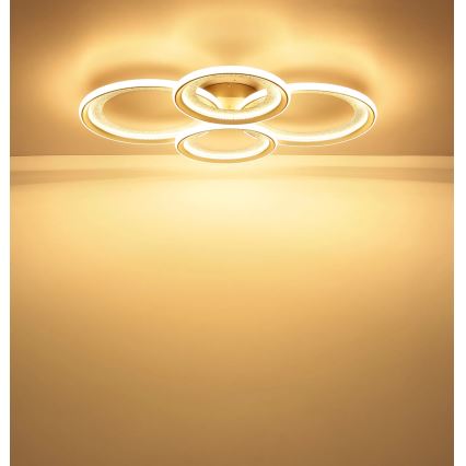 Globo - LED stropna svetilka LED/50W/230V 3000K 64,5x85,5 cm