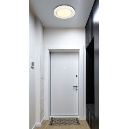 Globo - LED Stropna svetilka LED/24W/230V 4000K pr. 38 cm