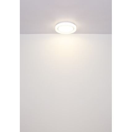 Globo - LED Stropna svetilka LED/24W/230V 4000K pr. 38 cm