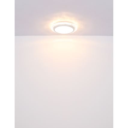 Globo - LED Stropna svetilka LED/22W/230V 3000K pr. 40 cm