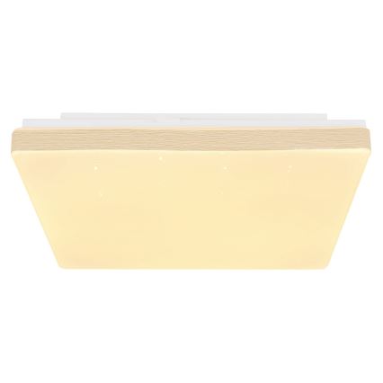 Globo - LED Stropna svetilka LED/12W/230V